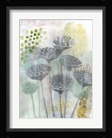 Seed Pod Composition I Framed Print