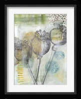 Seed Pod Composition II Framed Print