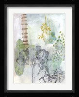 Seed Pod Composition III Framed Print