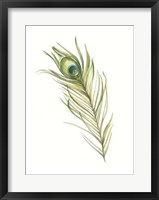 Watercolor Peacock Feather I Framed Print