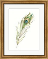 Watercolor Peacock Feather II Fine Art Print