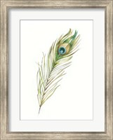 Watercolor Peacock Feather II Fine Art Print