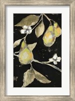 Fresh Pears II Fine Art Print
