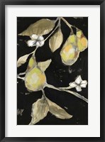 Fresh Pears II Fine Art Print
