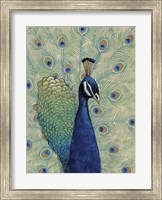 Blue Peacock I Fine Art Print
