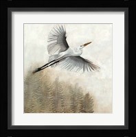 Waterbirds in Mist I Framed Print