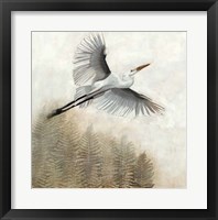 Waterbirds in Mist I Framed Print