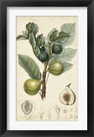 Exotic Fruits I Fine Art Print