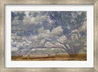 Texas Tree Collage Fine Art Print