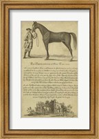 Horse Portraiture II Fine Art Print