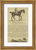 Horse Portraiture V Fine Art Print