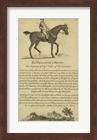 Horse Portraiture V Fine Art Print