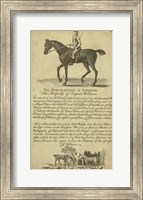 Horse Portraiture VI Fine Art Print