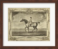 Distinguished Horses II Fine Art Print