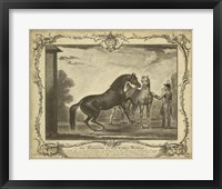 Distinguished Horses III Fine Art Print