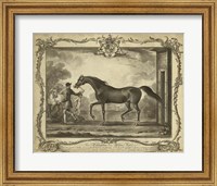 Distinguished Horses IV Fine Art Print