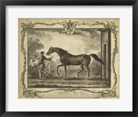Distinguished Horses IV Fine Art Print
