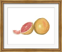 Watercolor Grapefruit Fine Art Print