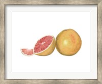 Watercolor Grapefruit Fine Art Print