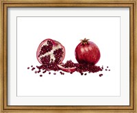 Watercolor Pomegranate Fine Art Print