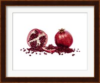Watercolor Pomegranate Fine Art Print