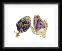Watercolor Artichoke Fine Art Print
