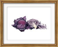 Watercolor Purple Cabbage Fine Art Print