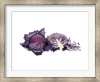 Watercolor Purple Cabbage Fine Art Print
