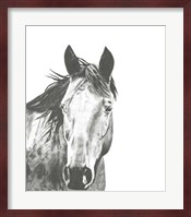 Wildlife Snapshot: Horse I Fine Art Print