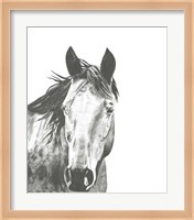 Wildlife Snapshot: Horse I Fine Art Print