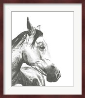Wildlife Snapshot: Horse II Fine Art Print