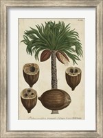 Vintage Tropicals I Fine Art Print