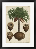 Vintage Tropicals I Fine Art Print