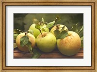 Jill's Green Apples I Fine Art Print