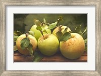 Jill's Green Apples I Fine Art Print