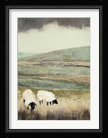 Open Meadow II Framed Print