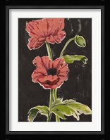 Haloed Poppies I Framed Print