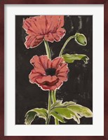 Haloed Poppies I Fine Art Print