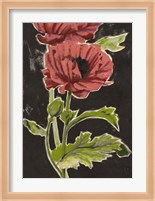 Haloed Poppies II Fine Art Print