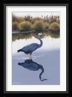 Blackwater Reflections I Fine Art Print
