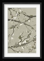 Neutral Cherry Blossoms I Framed Print