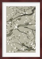 Neutral Cherry Blossoms II Fine Art Print