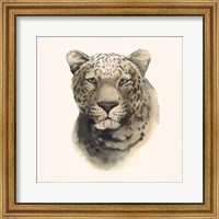 Safari Cat I Fine Art Print