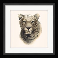 Safari Cat I Fine Art Print