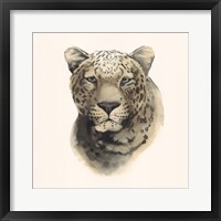 Safari Cat I Fine Art Print