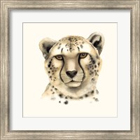 Safari Cat IV Fine Art Print