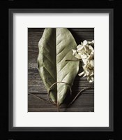 Leaf Fine Art Print