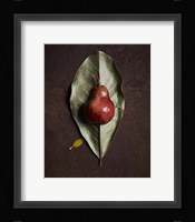 Leaf and Pear 4 Fine Art Print