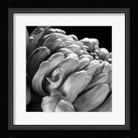 Mum I Fine Art Print