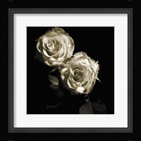Circus Roses Fine Art Print
